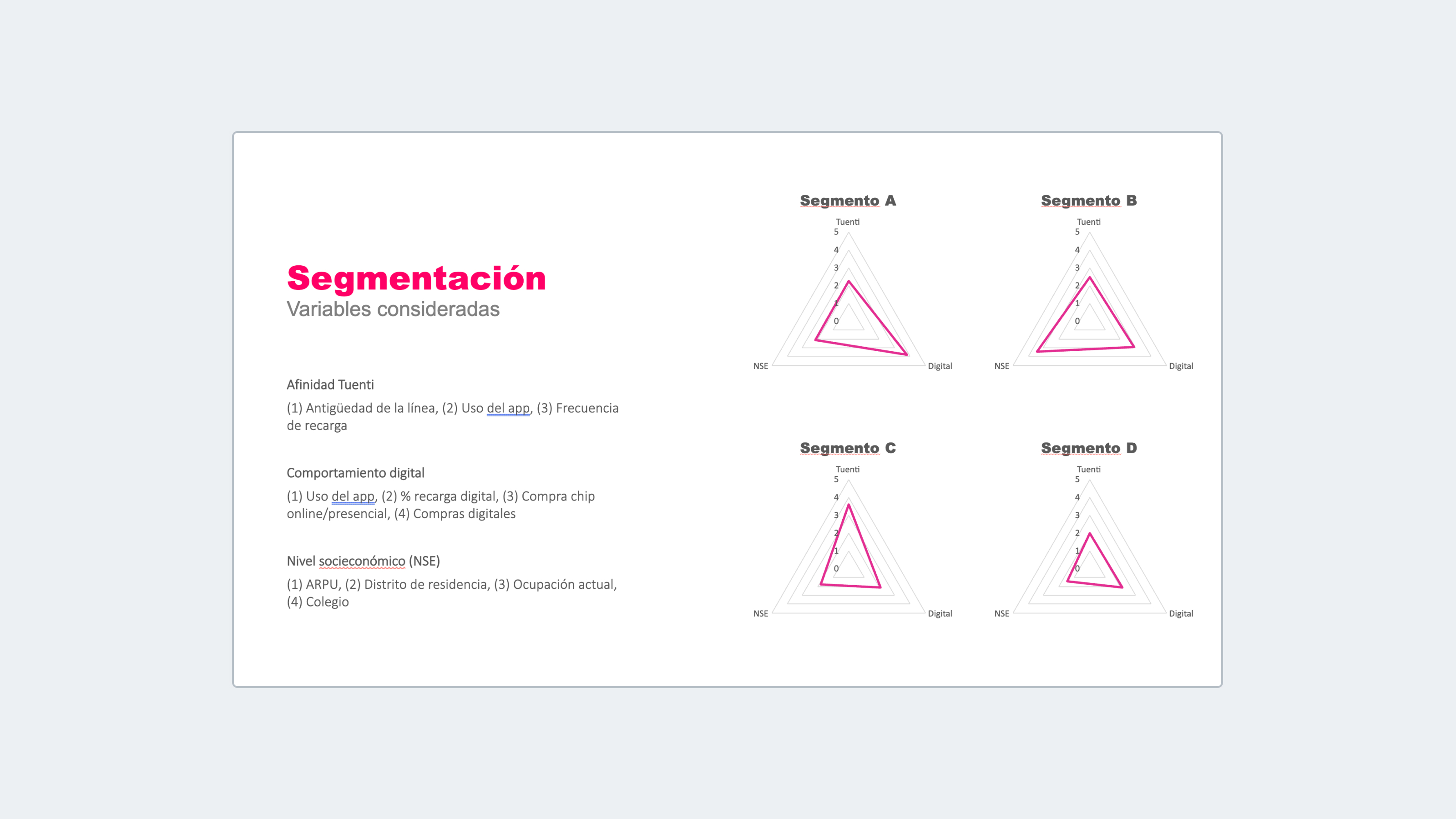 Gráficos de los perfiles por variables de segmentación